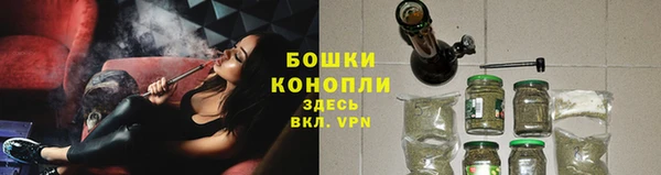 ALPHA PVP Козельск