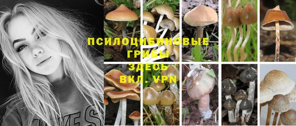 a pvp Алексин