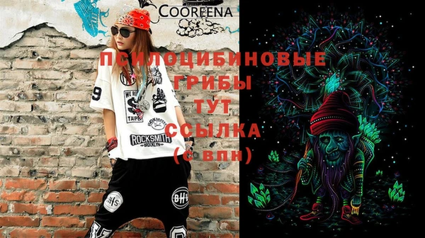 a pvp Алексин